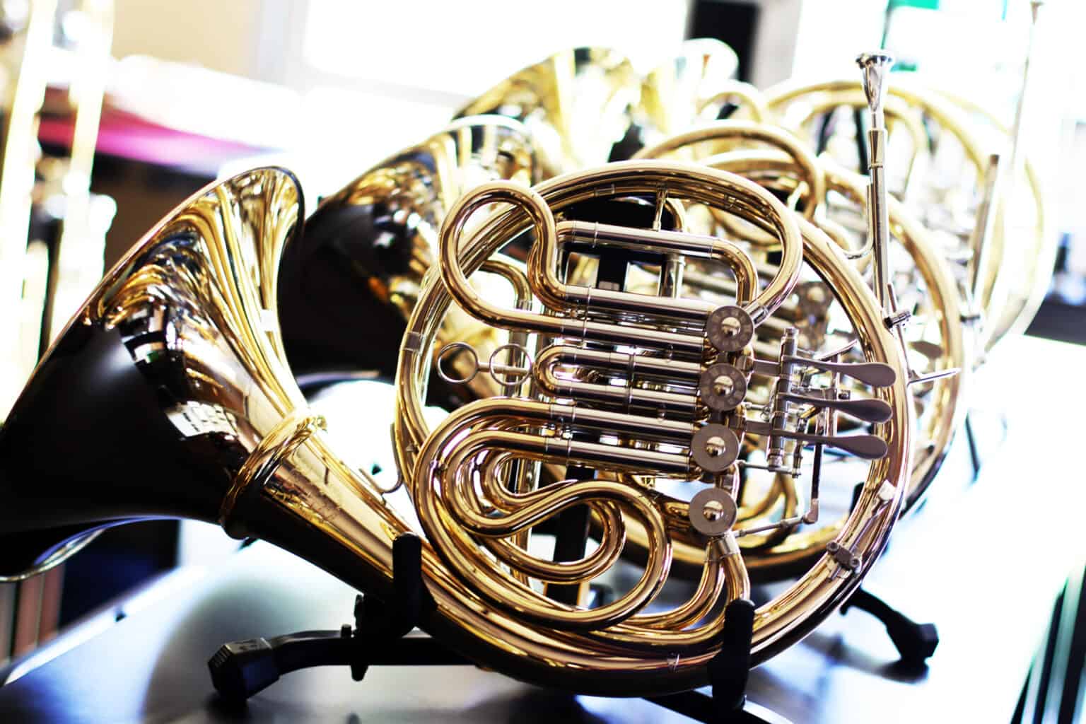 French horns in the store