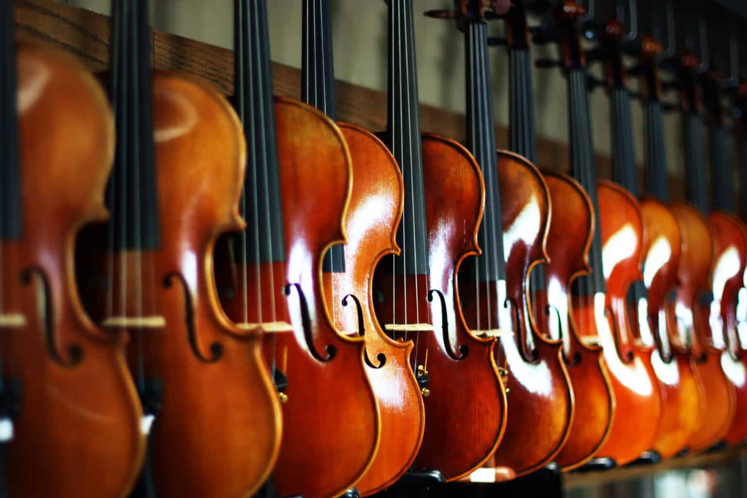 Violins in the store